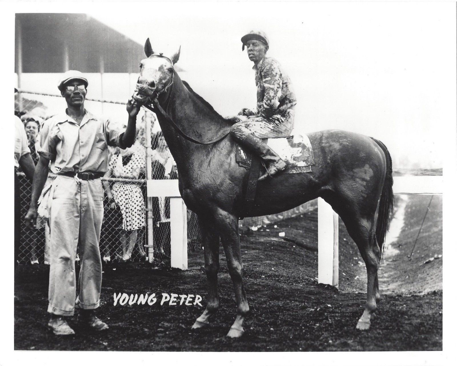 YOUNG PETER 8X10 PHOTO HORSE RACING PICTURE JOCKEY - Horse Racing