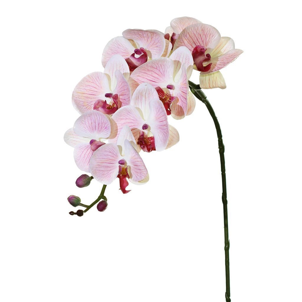 Pink Phalaenopsis Orchid Stem Real Touch Silk Flowers 36