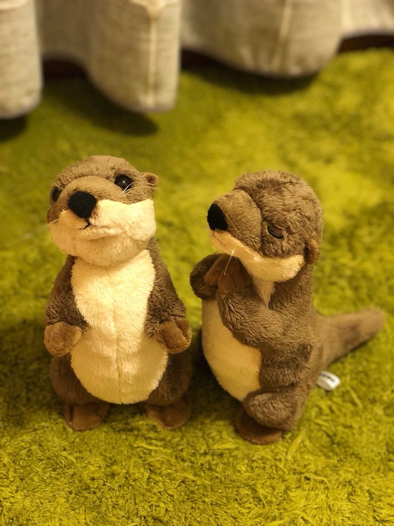 plush otter