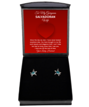 Earrings Present For Salvadoran Wife - Jewelry Turtle Ear Rings Valentines Day  - $49.95