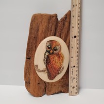 Wooden Owl Wall Plaque, Driftwood Bird Decor, Hand Painted Rustic Wood Owl Art image 5