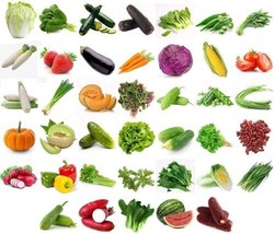 11K+ in 40 Varieties NON GMO Organic Seeds Vegetable Fruit Outdoor Living Garden - $76.76