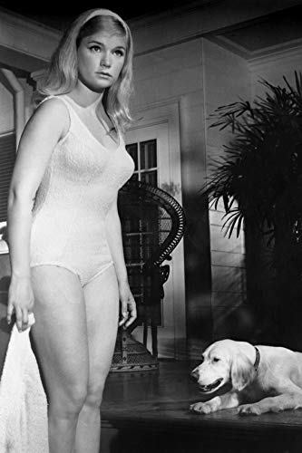 Yvette Mimieux Sexy Pose In White Swimsuit And Similar Items 9500