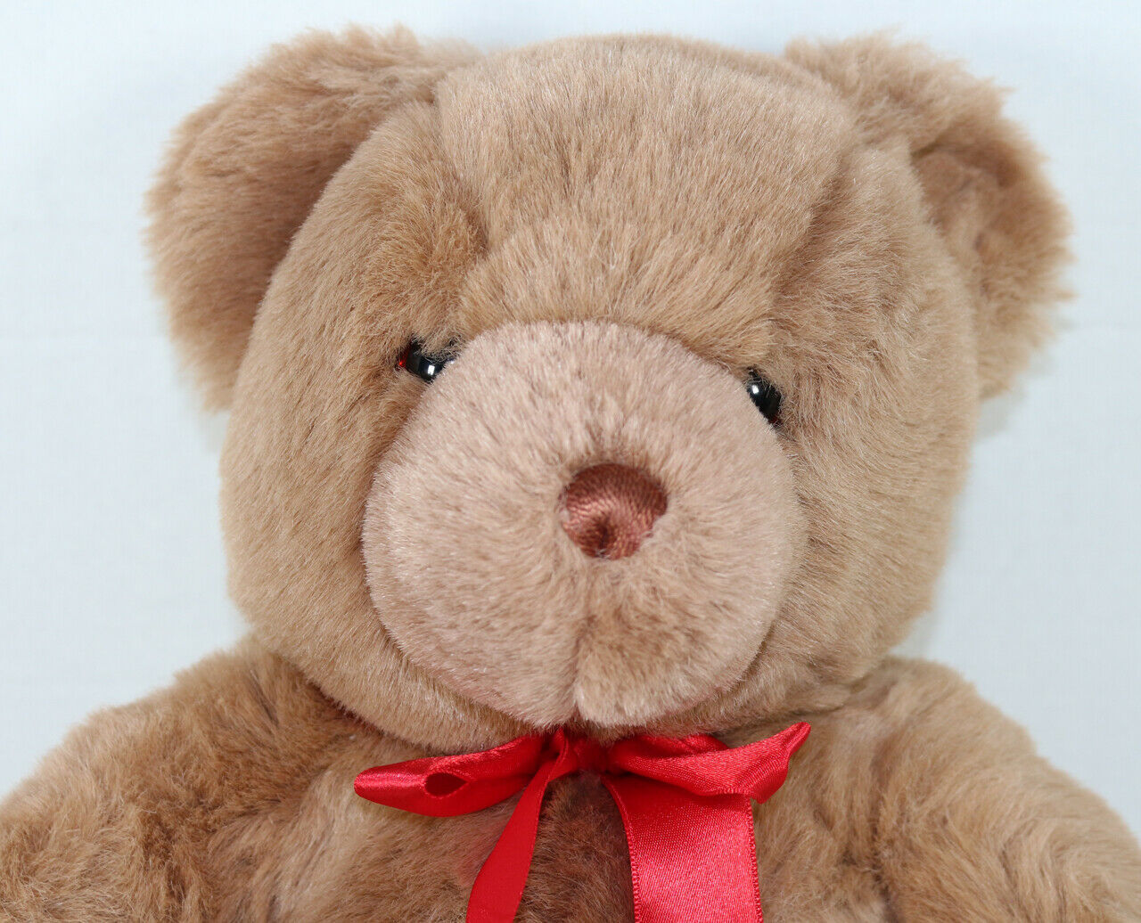 teddy with bow