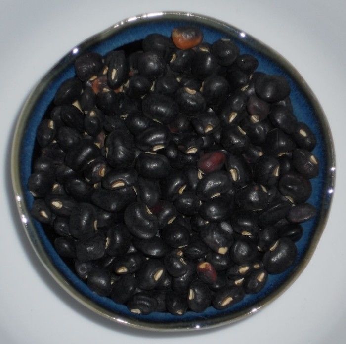 Black Crowder Cowpea Seed Southern Pea Field Peas Cowpeas Seeds (¼oz