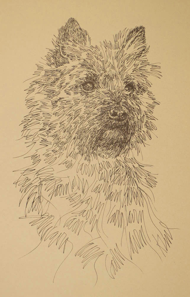 CAIRN TERRIER DOG ART LITHOGRAPH #41 Kline adds your dogs name free. BREED GIFT
