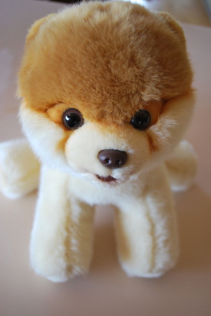 stuffed animal boo dog