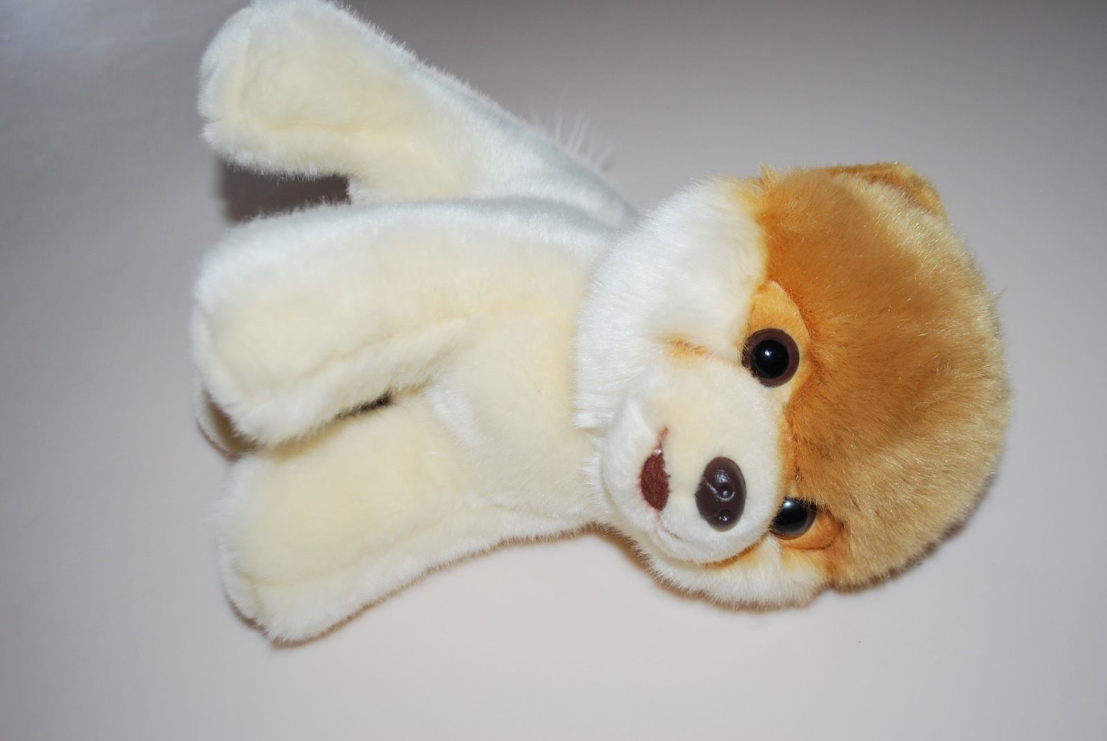 Boo The World's Cutest Dog by Gund Stuffed Animal Plush
