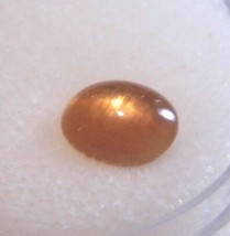 Sunstone Cat&#39;s Eye (Oval  8x6x4mm) Natural Gemstone 1.31cts. - $15.19