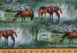 Cotton Horses Animals Nature Equestrian Scenic Fabric Print by the Yard D486.52 - $9.95