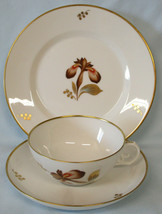 Royal Copenhegan Brown Iris Cup &amp; Saucer Salad Plate Trio Factory Seconds - $35.53