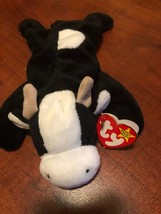 RARE 1993 - 1994 Daisy the cow Beanie Baby - Swing Tag and Tush Tag Errors - PVC - $175.00