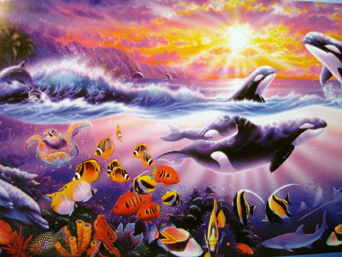 Tropical Treasures Orca 1000 Piece Jigsaw Puzzle Steve Sundram Blue ...