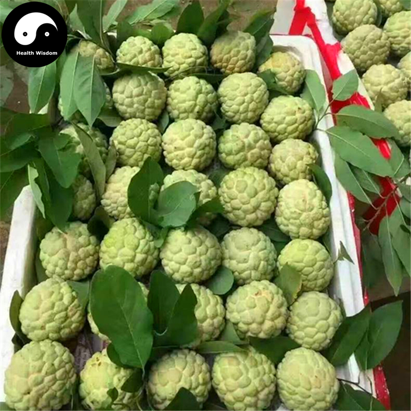Buy Annona Squamosa Fruit Tree Seeds 120pcs Plant Sweetsop For Custard Apple - Seeds