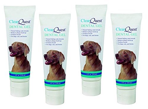 Primary image for Dental Gel For Dogs & Cats - Non-toxic Formula Cleans Teeth & Freshen Breath !(4