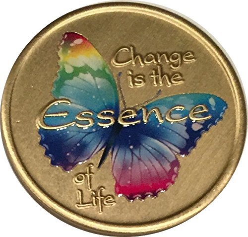 If Nothing Changed - Change is The Essence of Life Color Rainbow Butterfly Medal