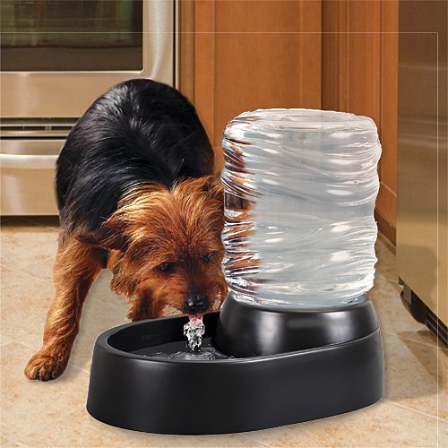 Pet Water Fountain Bubbling Bowl - Outdoor Fountains