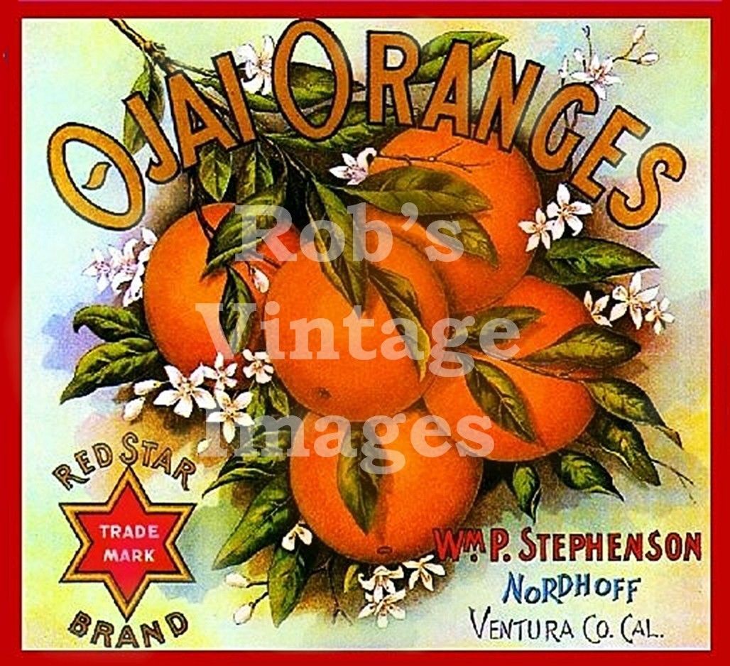 Los Angeles Daisy Flowers Orange Citrus Fruit Crate Label Art Print