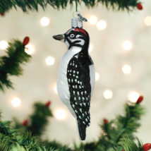Old World Christmas Hairy Woodpecker Bird Glass Christmas Ornament 16120 - $16.88