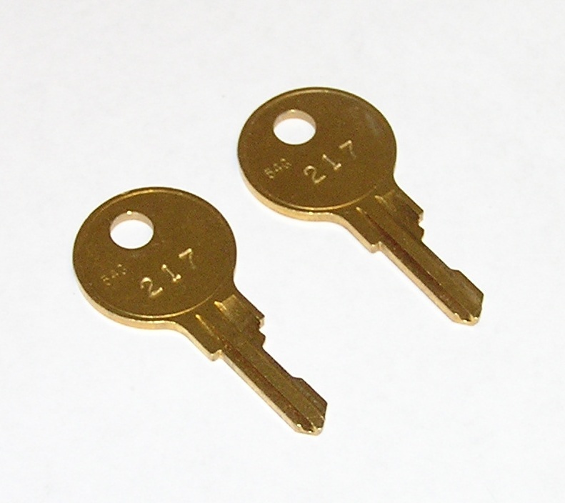 2 Fort 217 Replacement Keys fit Sellstrom Germicidal & Other
