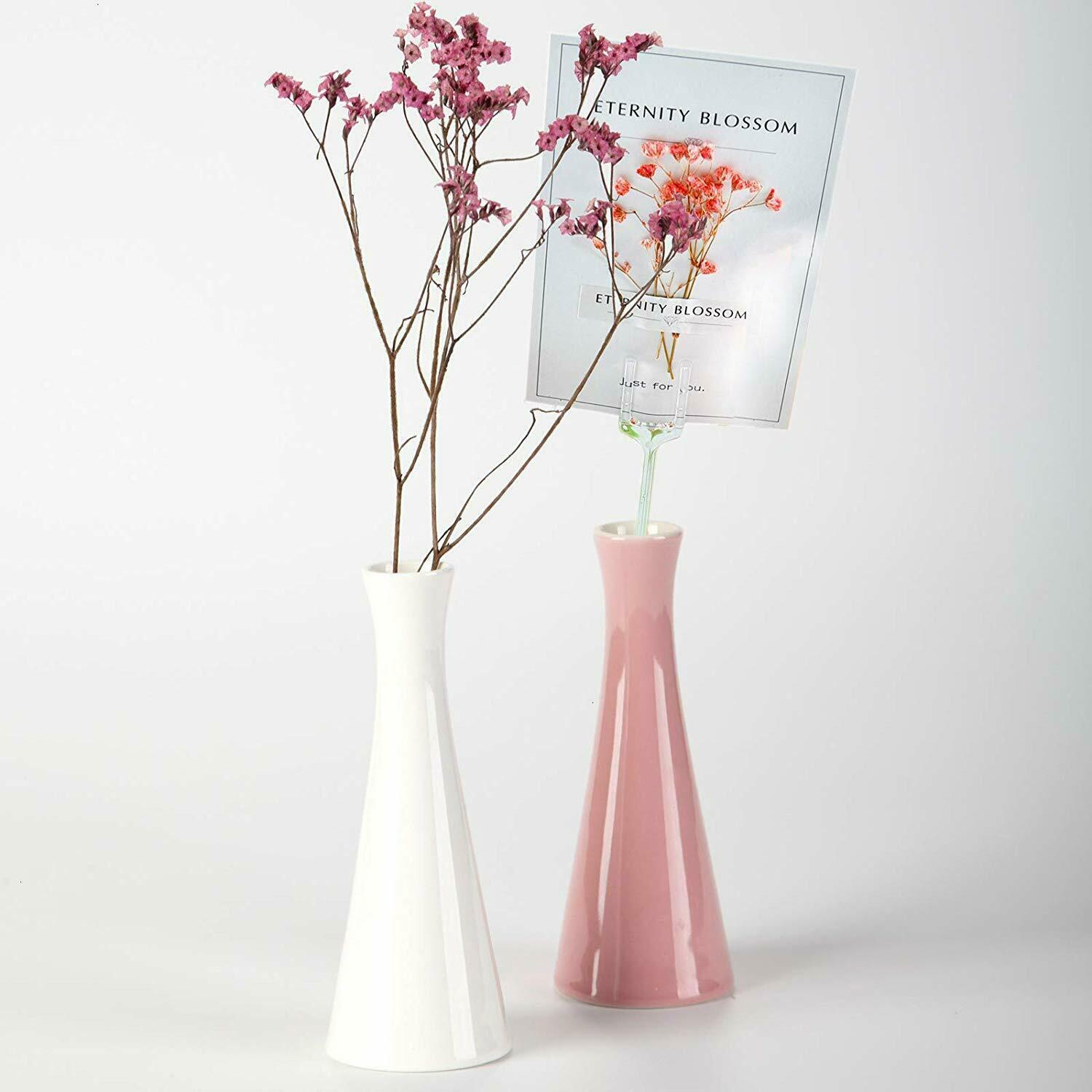 1000pcs Clear Plastic Floral Picks Card Holders Floral Arrangement