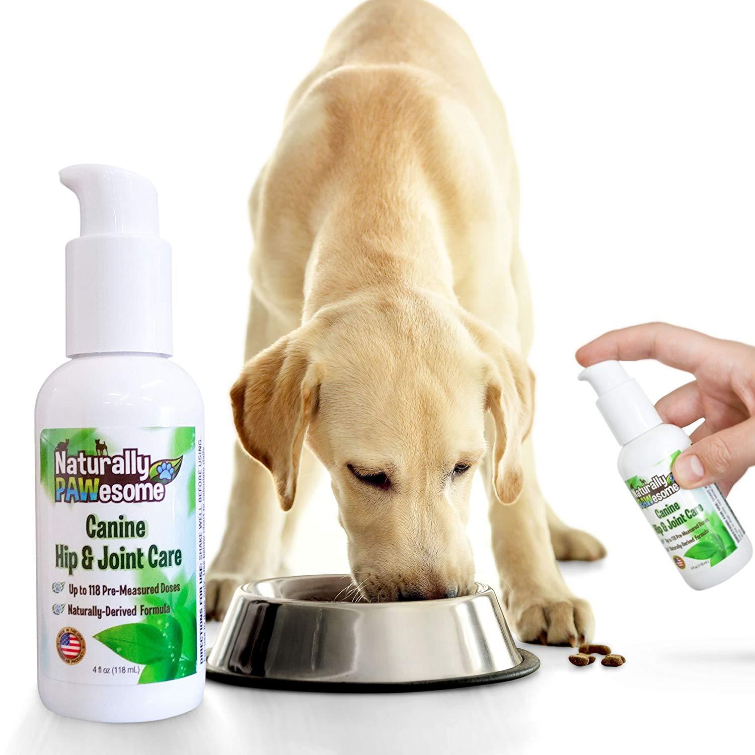 Pet Joint Care Glucosamine Supplement for Dogs, Flavored liquid boosts natural  - $15.99