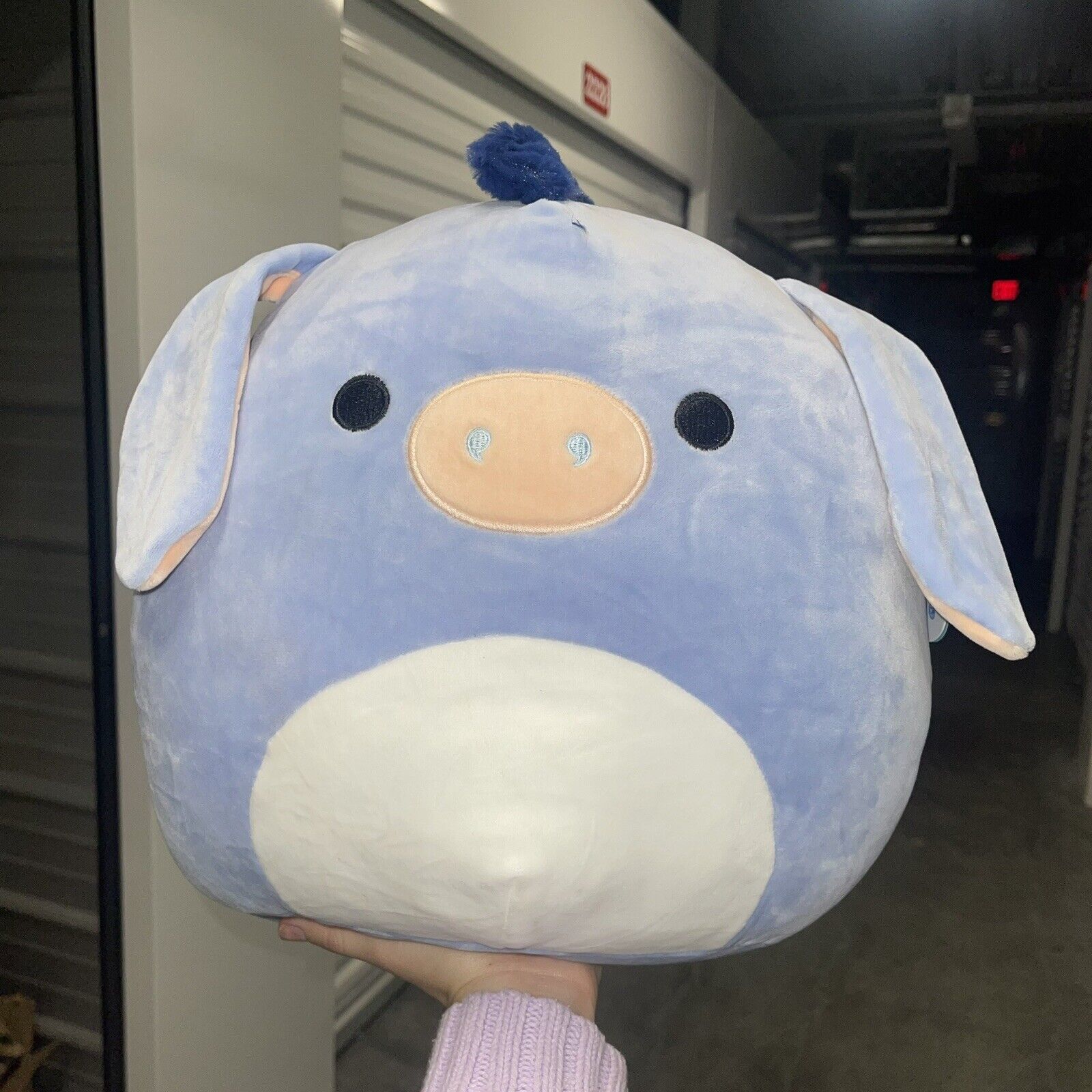 fina donkey squishmallow