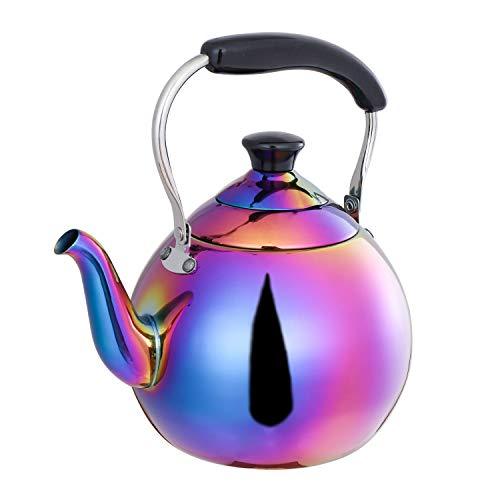 ROYDOM Whistling Tea Kettle Stainless Steel Teapot, 2Liter Rainbow Teakettle Tea Kettles
