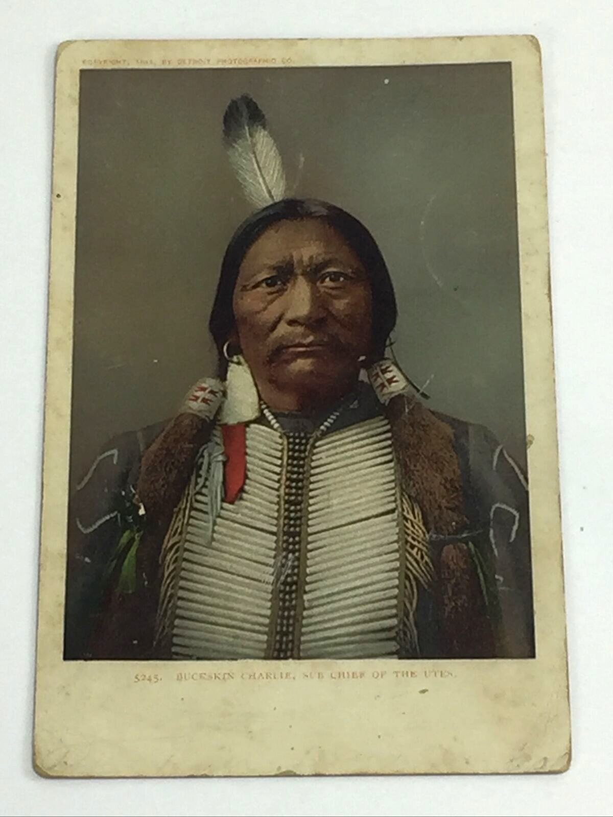 Native American Buckskin Charlie Sub Chief Of The Utes Detroit Pub Postcard Non