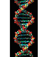 DNA INFUSION - Bullet Proof dna structure service, ALTER YOUR DNA TO REP... - $199.00