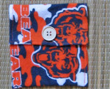 Rosinbagchicagobears thumb155 crop