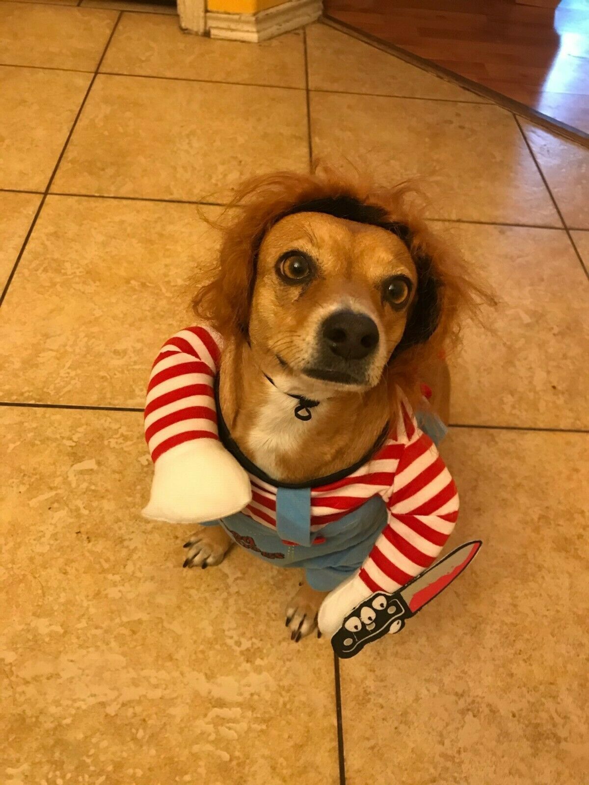 Dog Cat Pet Funny Costume Chucky Deadly Doll Cosplay Fancy Festival