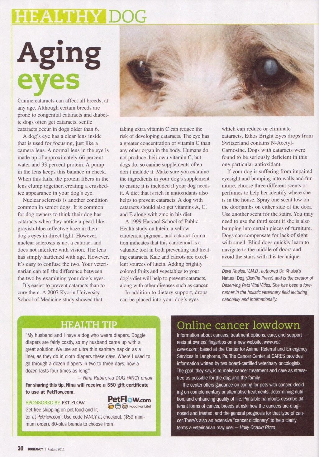 outlet website Dogs Cataract Ethos Bright Eyes Drops