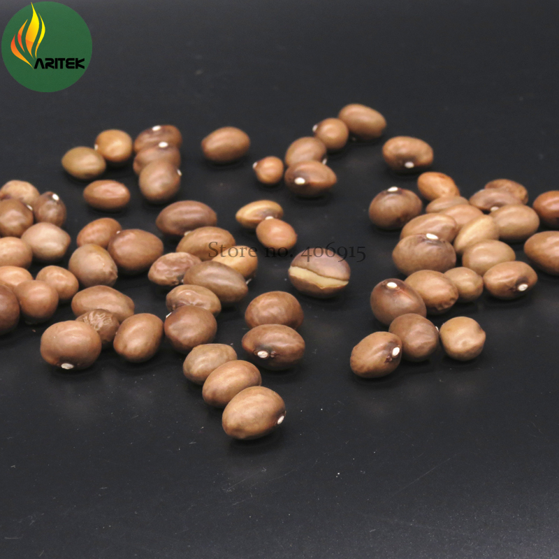 Yellow Bean Seeds, 15 Seeds, Professional Pack, tasty edible vegetables