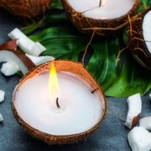 3 × Coconut Shell Candle | Coconut Candle In Real Coconut Shell | Best S... - $26.87
