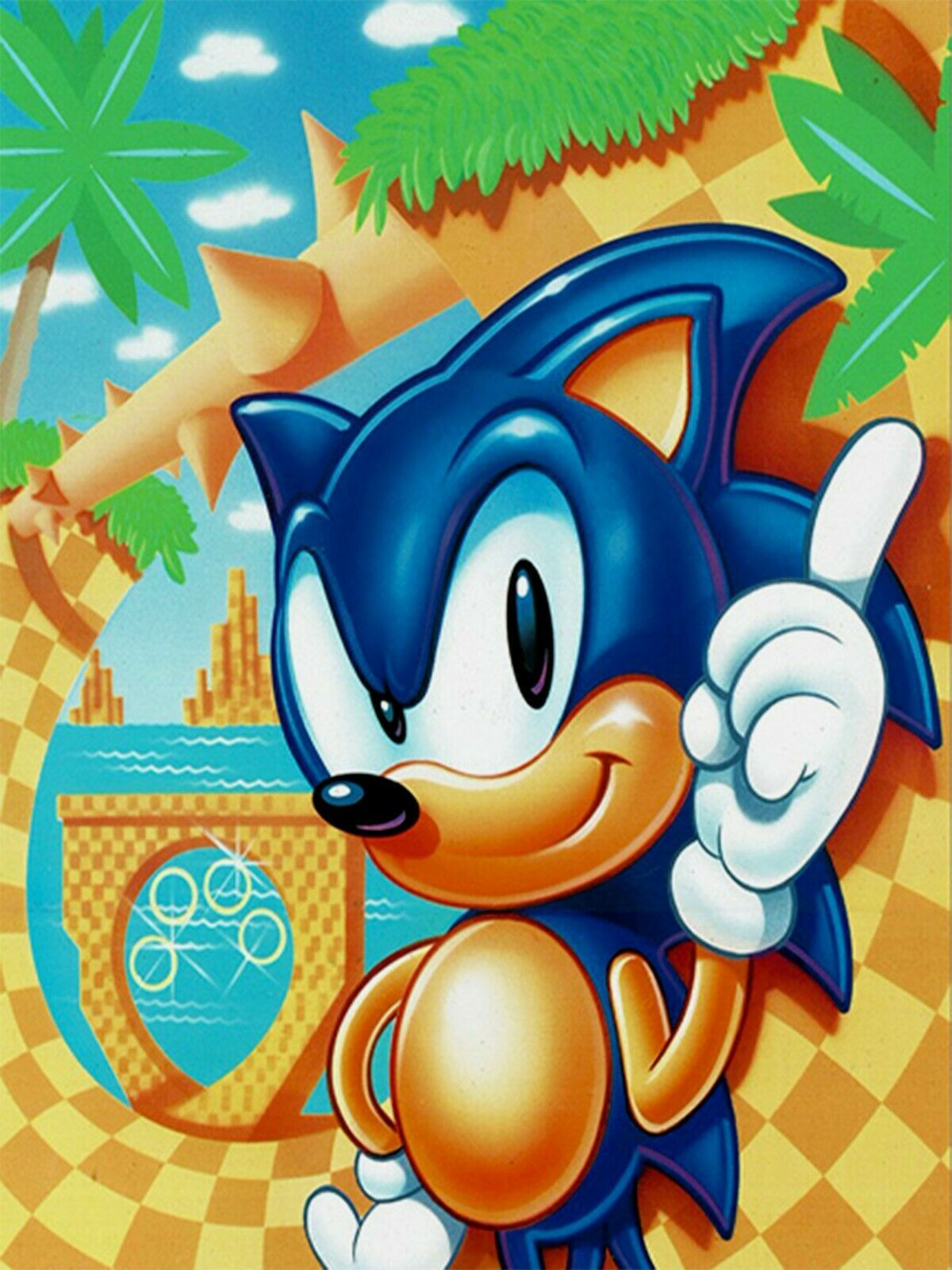 SONIC the HEDGEHOG Sega retro metal wall Sign Plaque Kids Playroom - TV