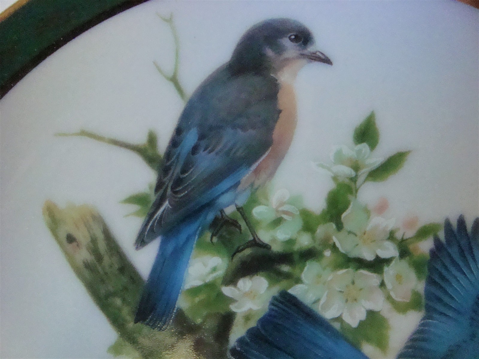 Danbury Mint Robert Tory Peterson Bluebirds Plate from the Songbirds