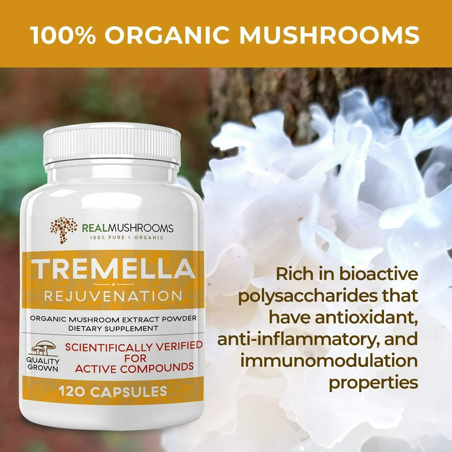 Tremella Mushroom Extract, Mushroom Supplement for Immunity Support