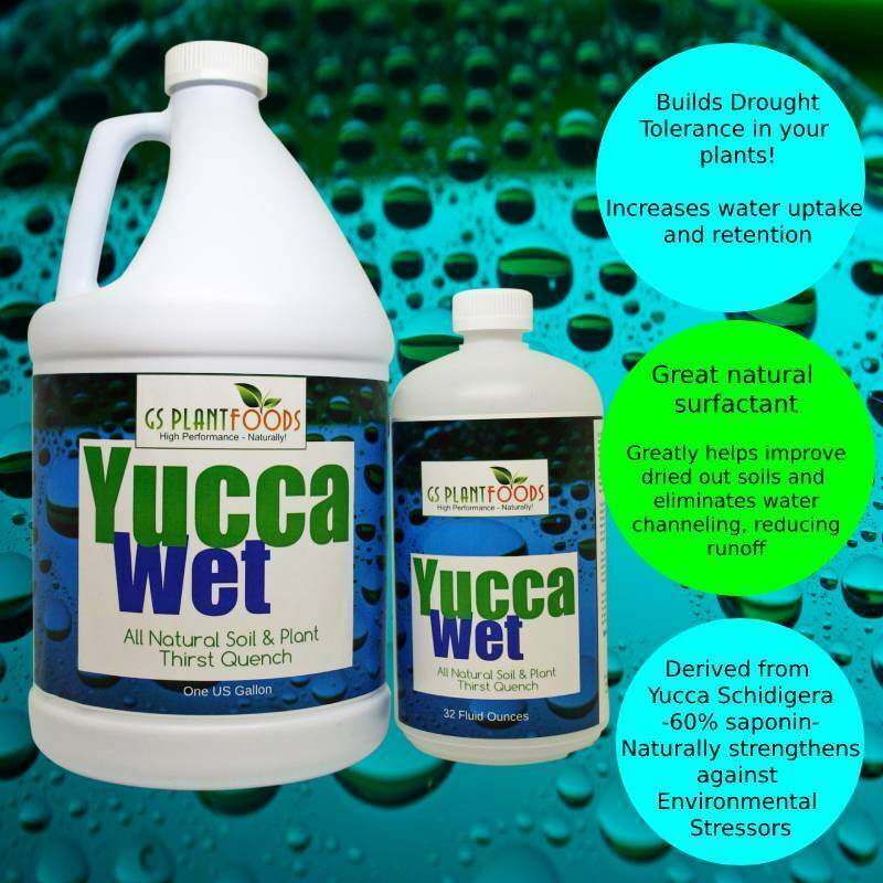 Yucca Wet, Liquid Yucca Extract Organic surfactant 1 Quart Concentrate