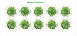 2017 Global Green Succulent International Forever Stamp Sheet of 10 Scot... - $27.95