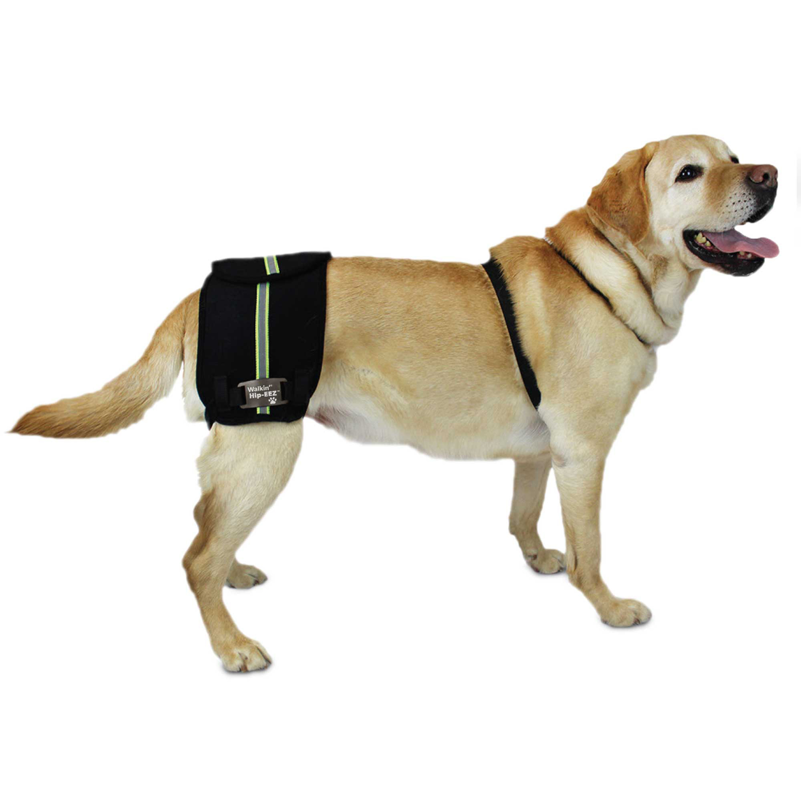 HipEEZ Dog Hip Brace Support Harness System Provides Joint Support