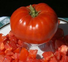 9 Variety Seeds - Delicious Tomato World Record Beefsteak Seeds #SMS60 - $12.99