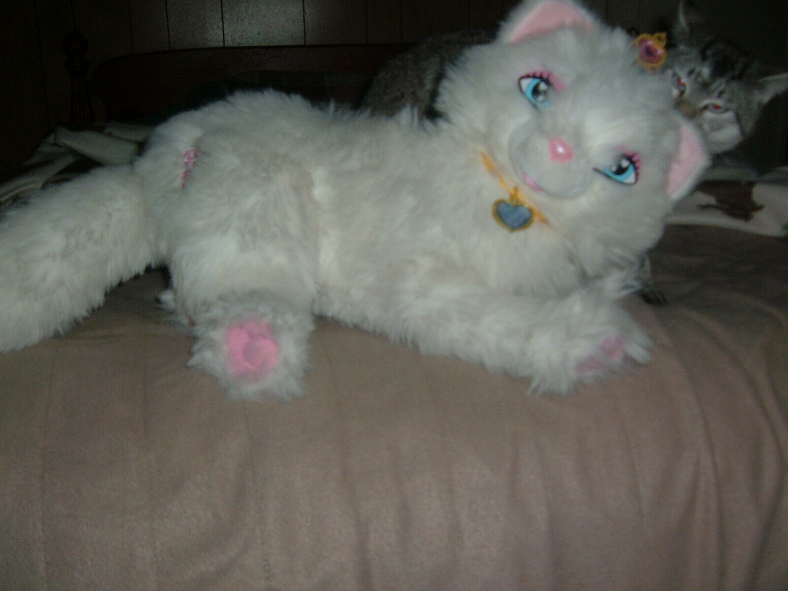 serafina barbie cat