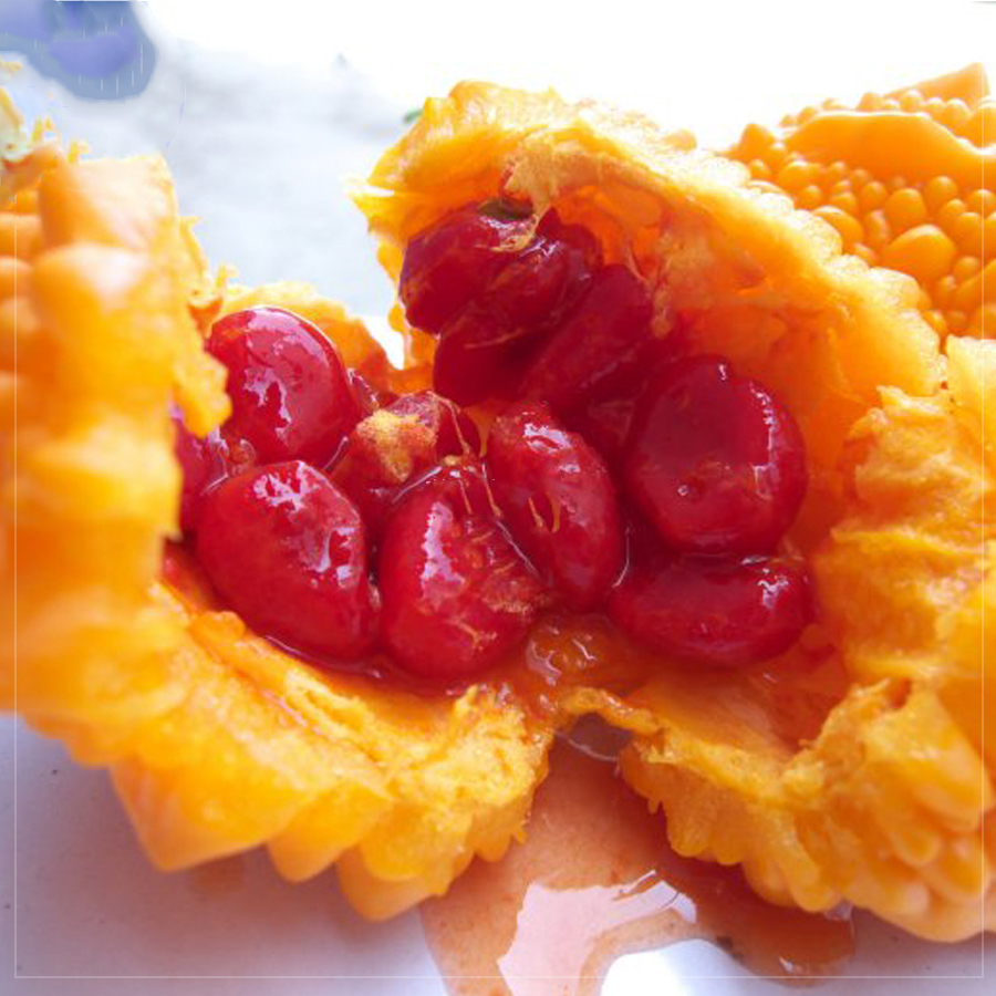 Jamaican Cerasee Gold Bitter Melon Seeds, 7 pcs Seeds Vegetables