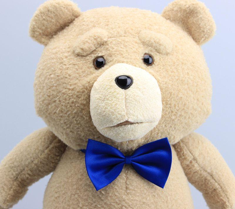 ted soft toy