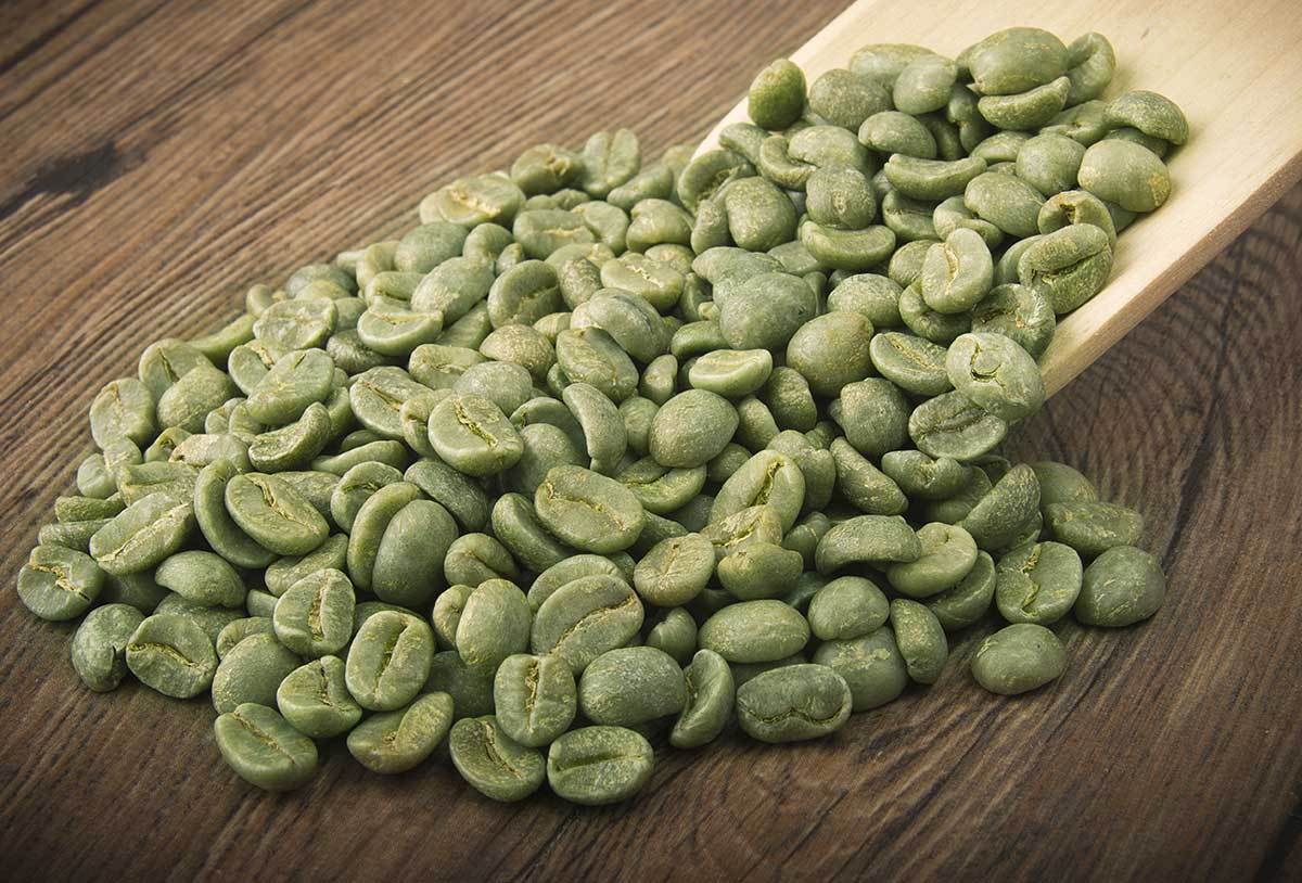 Лучший зеленый кофе. Green Coffee Beans Arabica. Green Coffee extract. Зеленый кофе в зернах. Кофе зеленый зерновой.