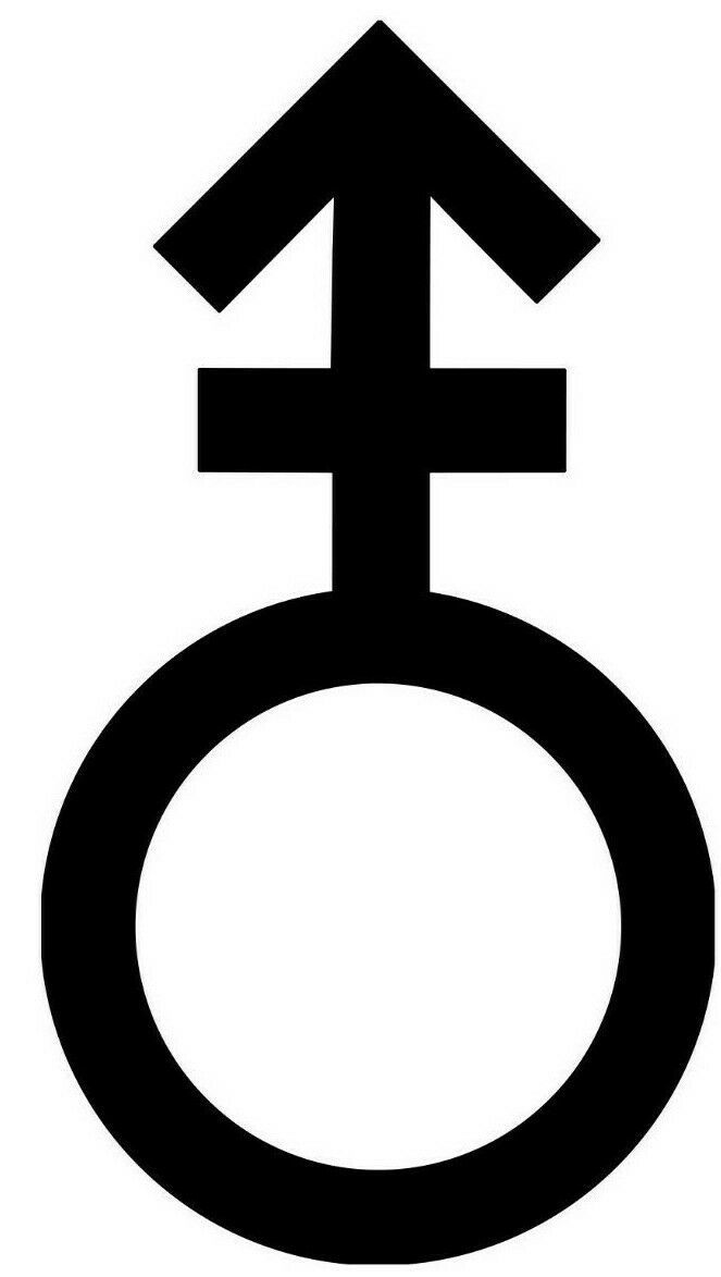 ANDROGYNOUS GENDER Vinyl Sticker - Symbol Sign Androgyny - Die Cut ...