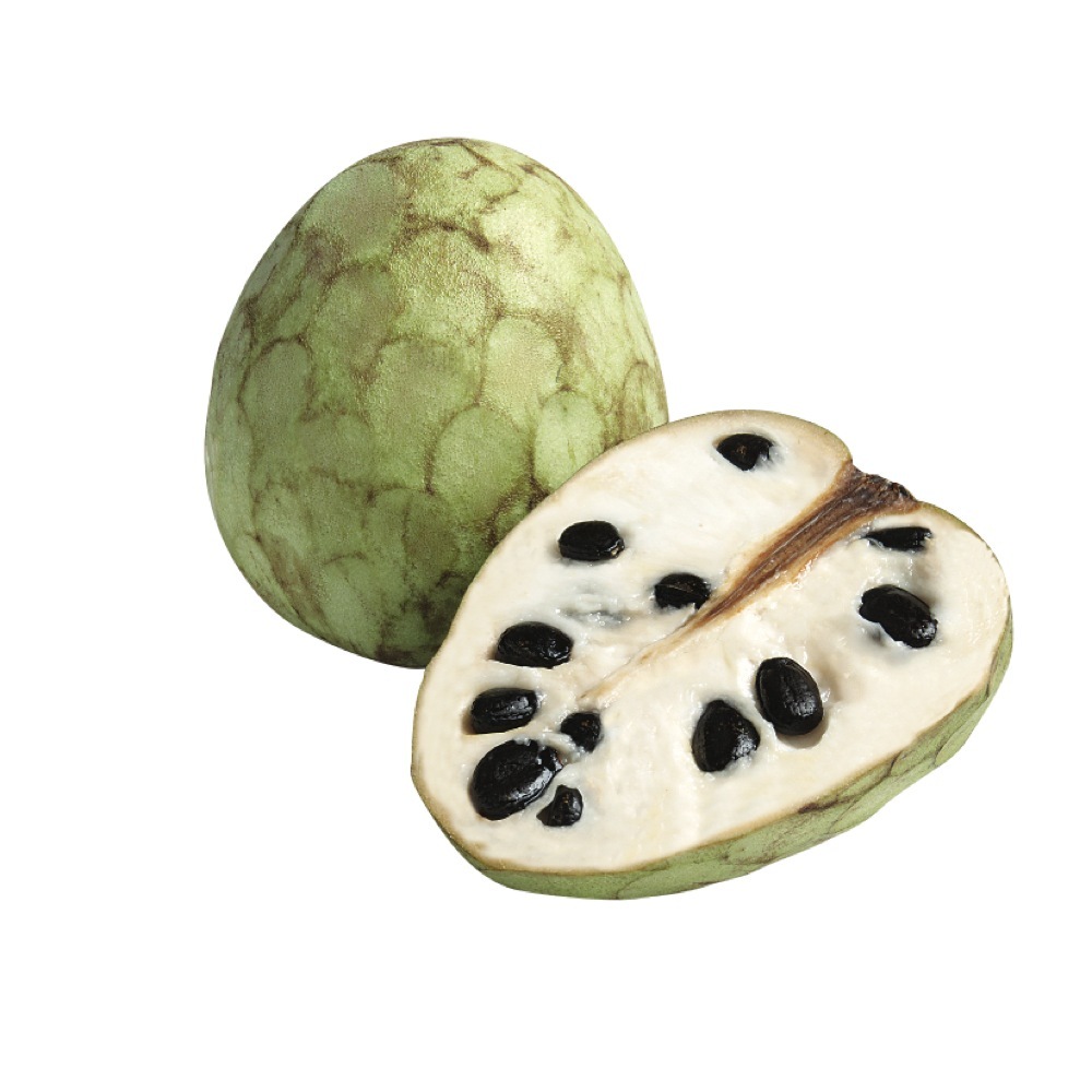 Cherimoya (Annona cherimola tree) Cherimoya Annona live plant TkEpots ...