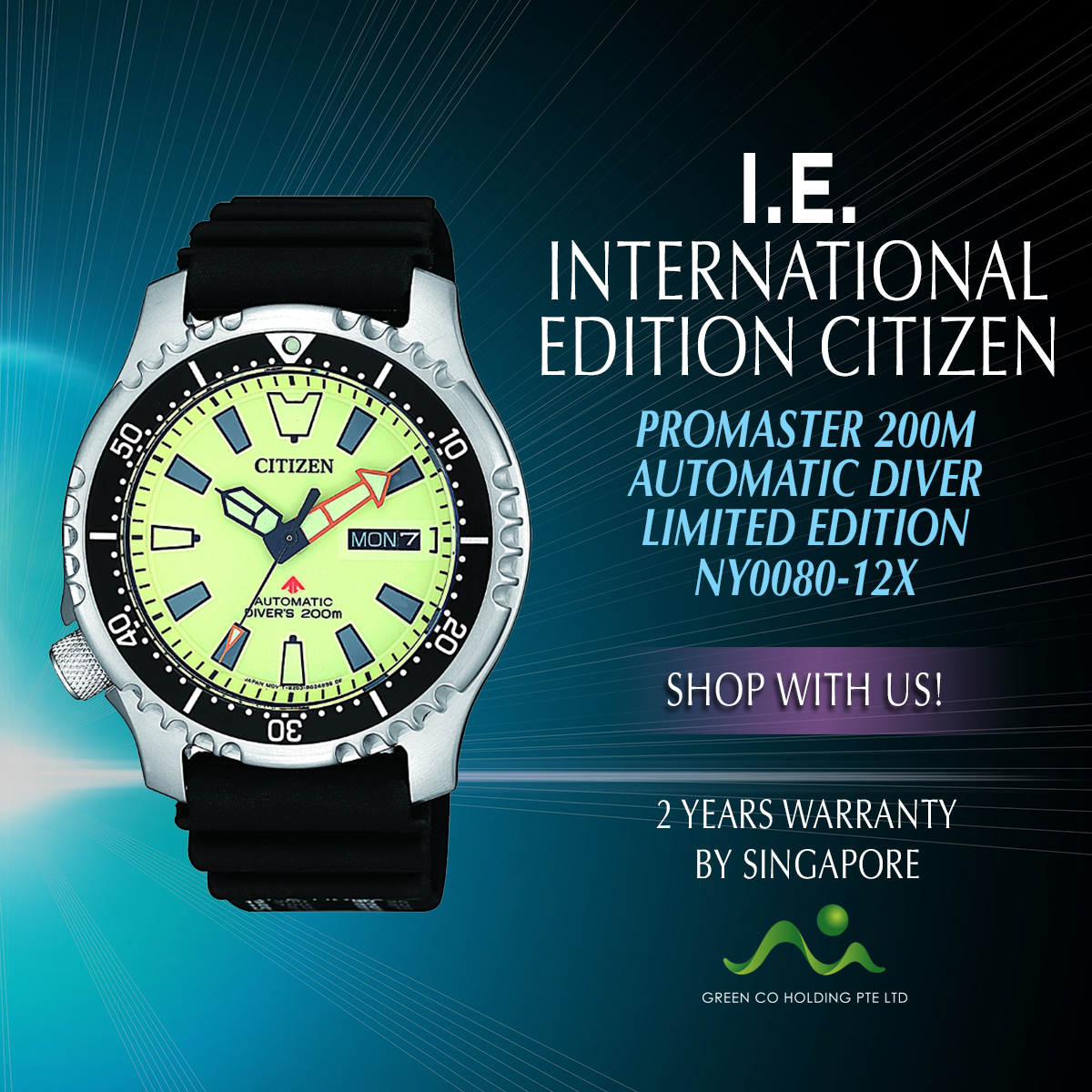 citizen promaster diver 200m automatic