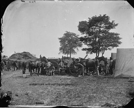 Shoeing Horses Army of the Potomac Antietam, MD 8"x 10" Civil War Photo #60 - $7.19